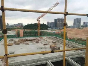 新客廳，新生活 鶴山城市建設工程施工引領未來社區新風尚